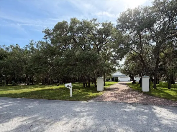 18749 LANSFORD DR, Hudson, FL 34667
