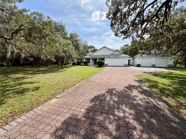 18749 LANSFORD DR, Hudson, FL 34667
