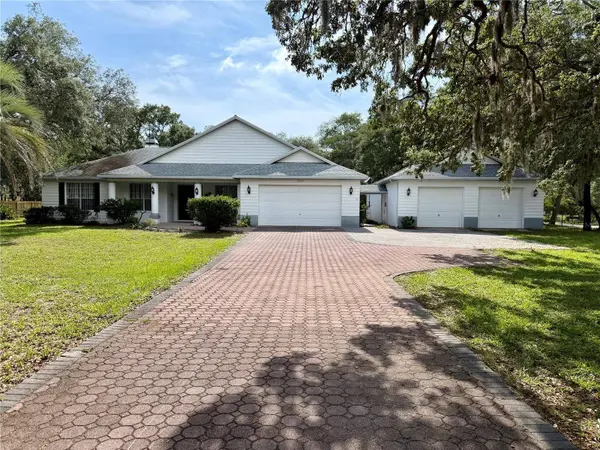 18749 LANSFORD DR, Hudson, FL 34667