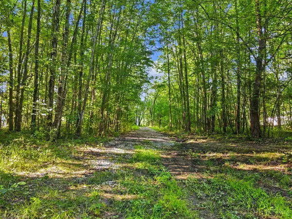 0 Patterson Rd, Tate Twp, OH 45106