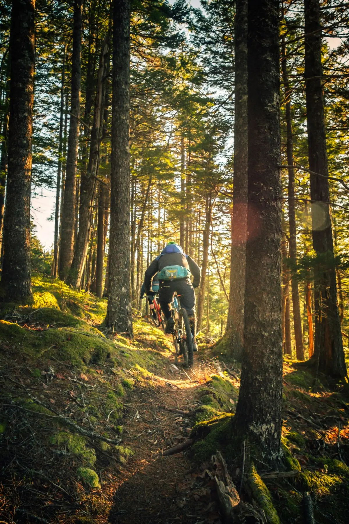 tim-foster-qrIy8dBzCVU-unsplash