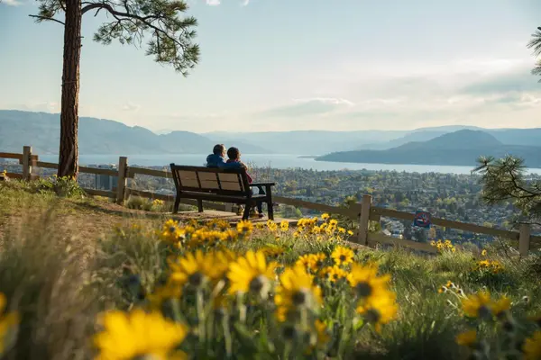 Couple_at_Dilworth_Mountain_Park_3_604b6971-0ebf-49b1-9e32-9b838f5c22dc