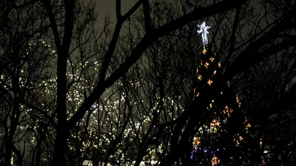 Your Guide to Kelowna’s Most Magical Christmas Markets!,Nyrose Admin