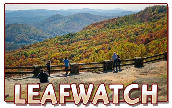 Blairsville, GA: A Fall Paradise for Outdoor Lovers