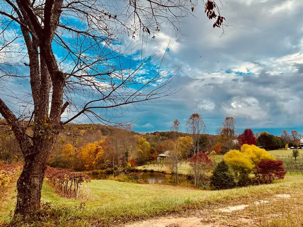 Neighborhood of the Week: Young Harris, GA