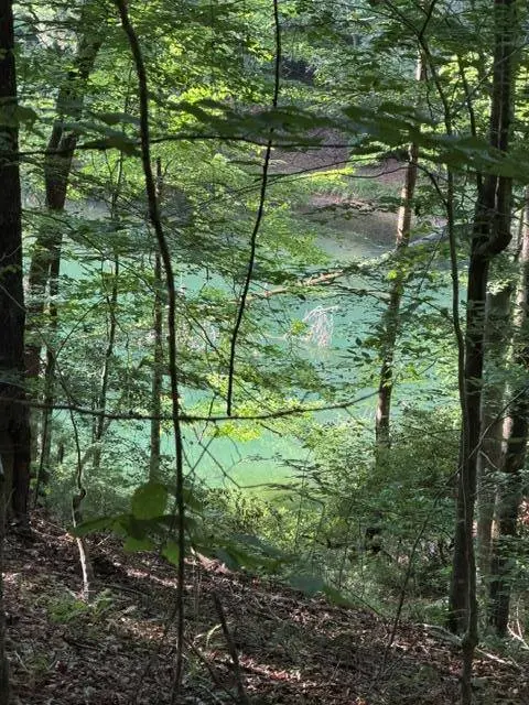Lot 37 Quiet Waters, Murphy, NC 28906