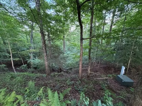 Lot 59 Quiet Mountain Trail, Murphy, NC 28906