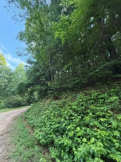 Lot 59 Quiet Mountain Trail, Murphy, NC 28906