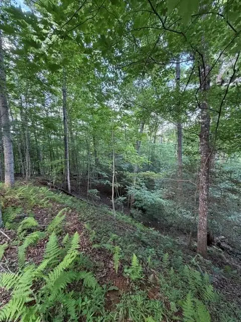 Lot 59 Quiet Mountain Trail, Murphy, NC 28906