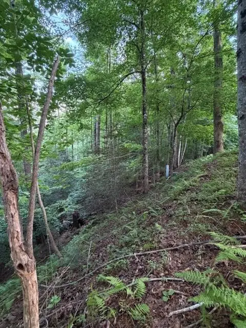 Lot 59 Quiet Mountain Trail, Murphy, NC 28906