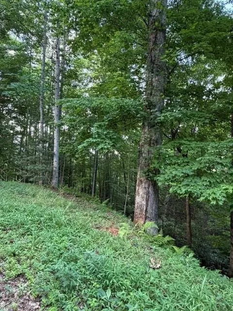 Lot 59 Quiet Mountain Trail, Murphy, NC 28906