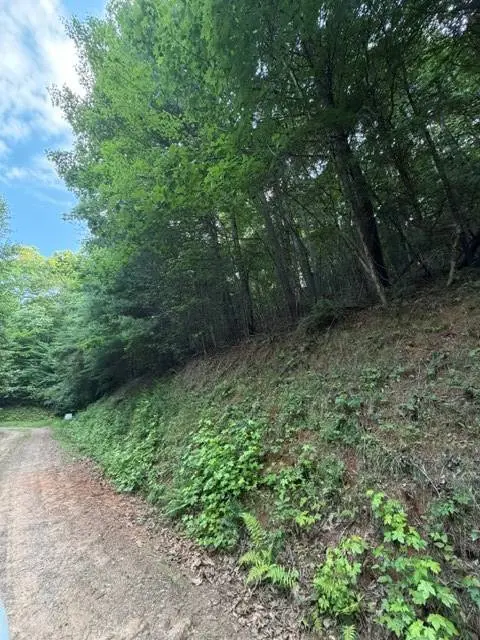 Lot 59 Quiet Mountain Trail, Murphy, NC 28906
