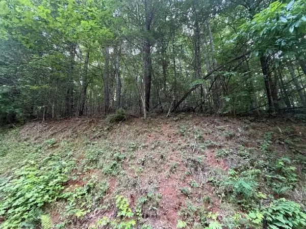 Lot 59 Quiet Mountain Trail, Murphy, NC 28906