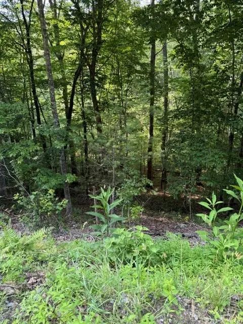 Lot 37 Quiet Waters, Murphy, NC 28906