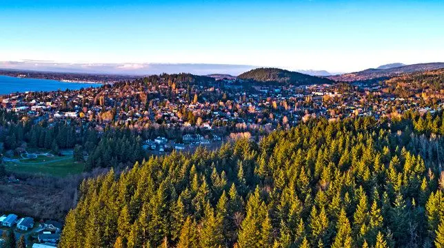 Bellingham