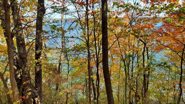 7xx 28th ST NW, Hackensack, MN 56452