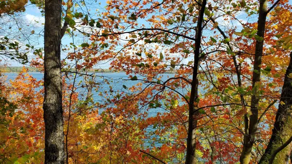 7xx 28th ST NW, Hackensack, MN 56452