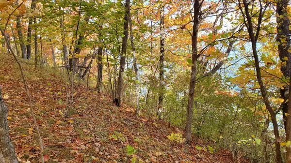 7xx 28th ST NW, Hackensack, MN 56452