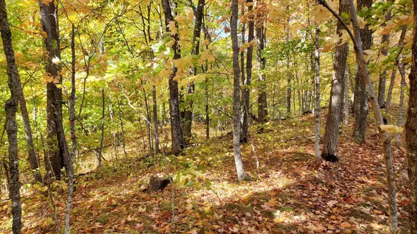 7xx 28th ST NW, Hackensack, MN 56452