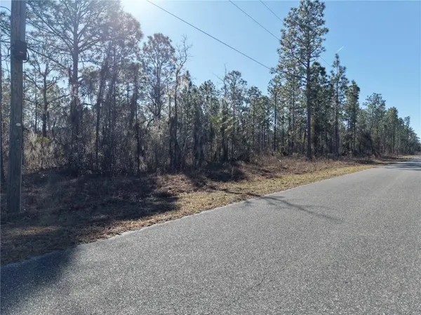SE 126TH TER, Dunnellon, FL 34431