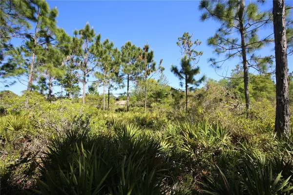 5 SERIEMA CT, Palm Coast, FL 32164