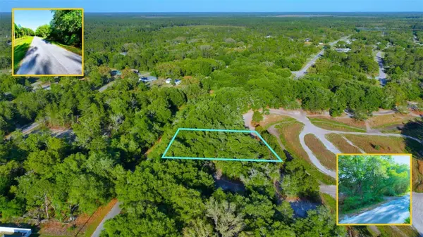 TBD MALAUKA RADIAL, Ocklawaha, FL 32179