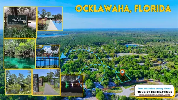 TBD MALAUKA RADIAL, Ocklawaha, FL 32179