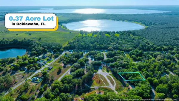 TBD MALAUKA RADIAL, Ocklawaha, FL 32179