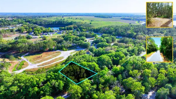 TBD MALAUKA RADIAL, Ocklawaha, FL 32179