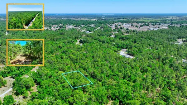 TBD SW 24TH PL, Ocala, FL 34481