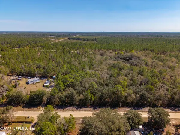 171 NETTLES RD, Florahome, FL 32140