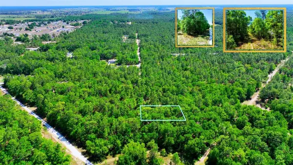 TBD SW 24TH PL, Ocala, FL 34481