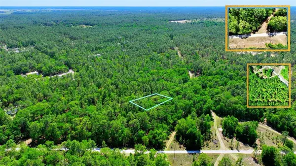 TBD SW 24TH PL, Ocala, FL 34481