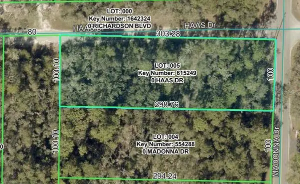 0 HAAS DR, Webster, FL 33597