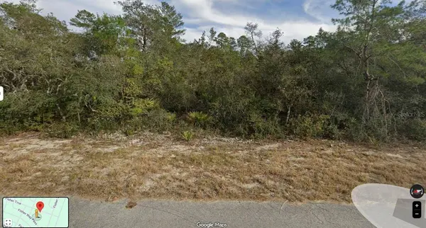 FISHER TRACE TRL, Ocklawaha, FL 32179