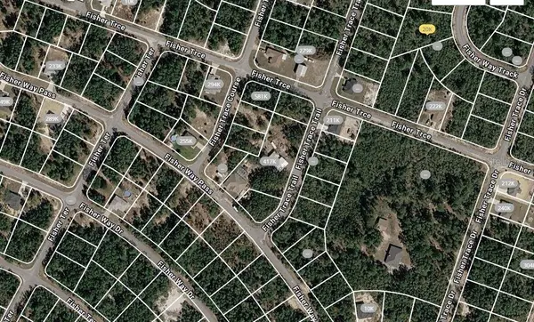 FISHER TRACE TRL, Ocklawaha, FL 32179