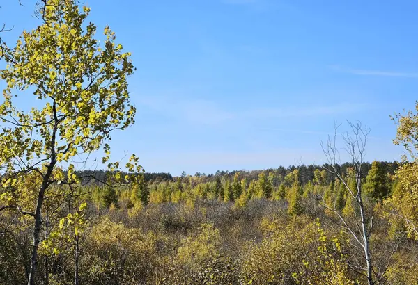 18395 Cottingham DR, Staples, MN 56479