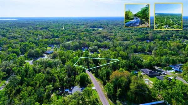 TBD FISHER LN WAY, Ocklawaha, FL 32179