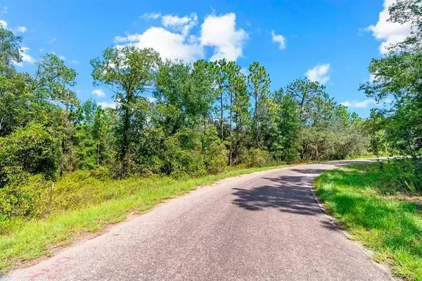 175 FISHER LN CT, Ocklawaha, FL 32179