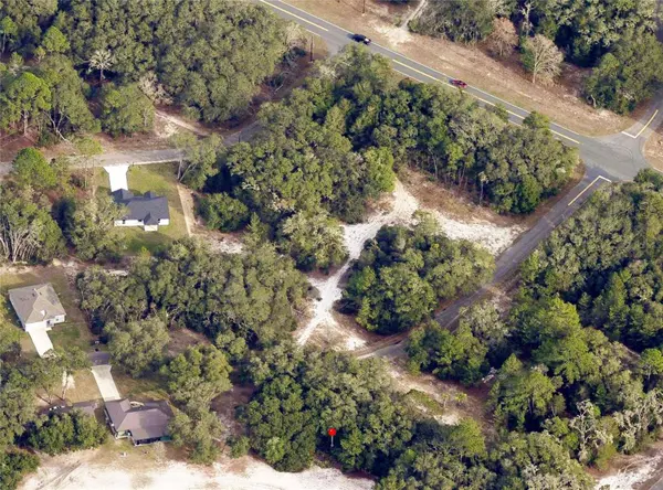 175 FISHER LN CT, Ocklawaha, FL 32179