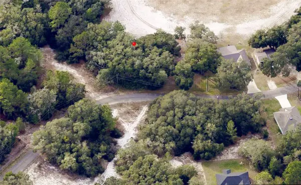 175 FISHER LN CT, Ocklawaha, FL 32179