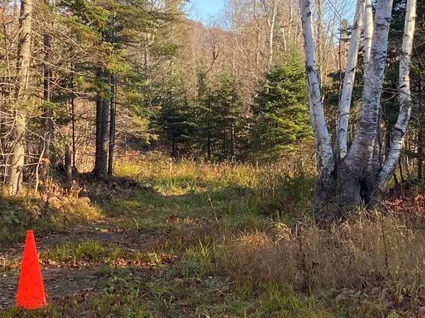5121 Mount Rockwood RD, Silver Bay, MN 55614