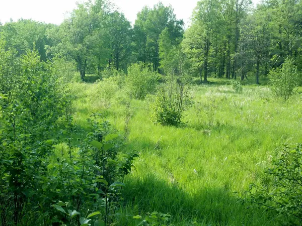 10005 Rice RD, Brook Park, MN 55007