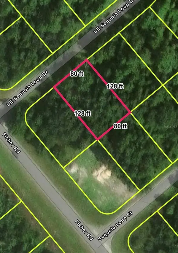 Lot 39 SE SEQUOIA LOOP DR, Ocklawaha, FL 32179