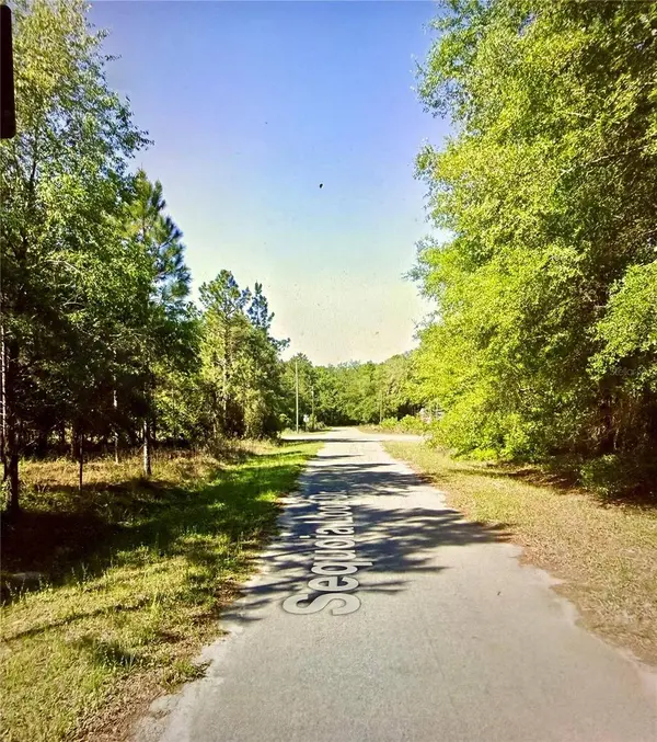 Lot 39 SE SEQUOIA LOOP DR, Ocklawaha, FL 32179
