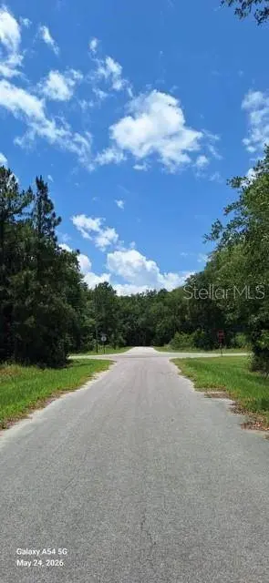 Lot 15 FICHER LN, Ocklawaha, FL 32179