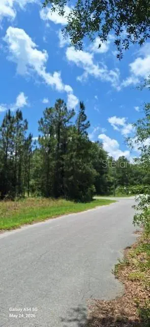 Lot 15 FICHER LN, Ocklawaha, FL 32179