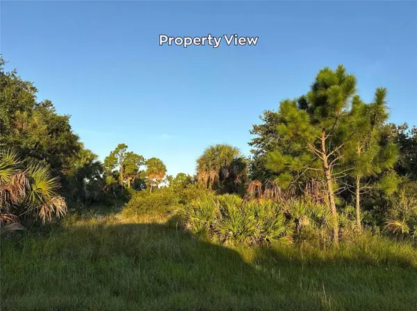 4387 SCHNEIDER ST, Port Charlotte, FL 33981