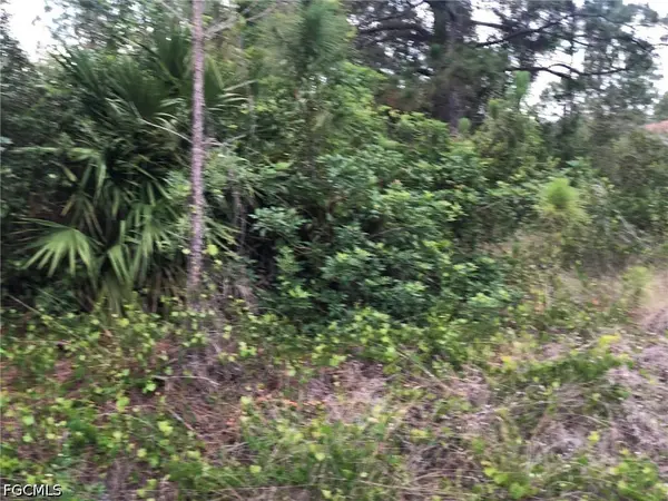 815 State AVE, Lehigh Acres, FL 33972