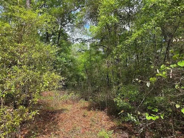 Lots 4 & 5 NW 56TH ST, Chiefland, FL 32626